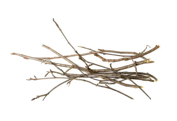 Branches Pile Isolated Dry Twigs Pile Ready Campfire Sticks Boughs — Stock Photo, Image