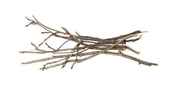Branches Pile Isolated Dry Twigs Pile Ready Campfire Sticks Boughs — Stock Photo, Image