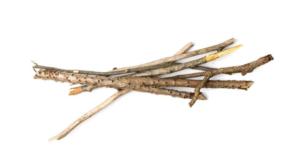 Branches pile isolated. Dry twigs pile ready for campfire, sticks, boughs heap for a fire, dry thin branches, brushwood