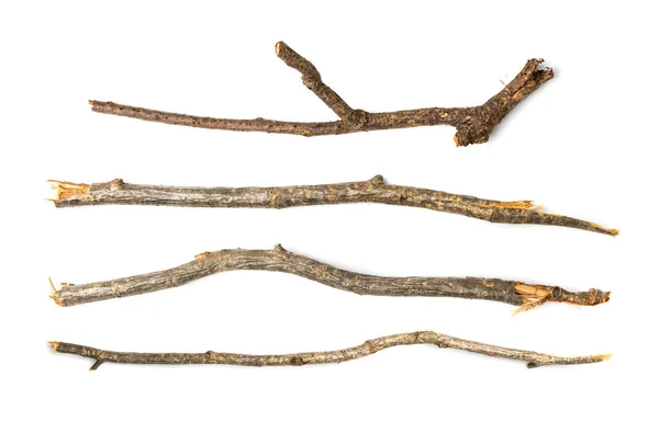 Větve Jsou Izolované Suché Větvičky Sbírka Tyčinky Větve Suché Tenké — Stock fotografie