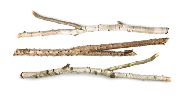 树枝被隔离了采购产品干树枝集合 干稀疏的树枝 灌木木 乡村的设计 Boho风格 — 图库照片