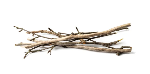 枝は孤立しています キャンプファイヤー スティック 火災のためのヒープを購入する準備ができて乾燥した小枝杭 乾燥した細い枝 ブラシウッド — ストック写真