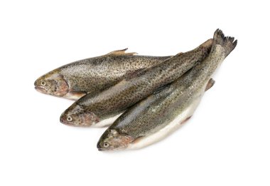 Çiğ alabalık izole edilmiş. Taze cani, üç çelik başlı balık, gökkuşağı alabalığı, trutta, fario, Oncorhynchus mykiss, beyaz arka planda tatlı su alabalıkları.