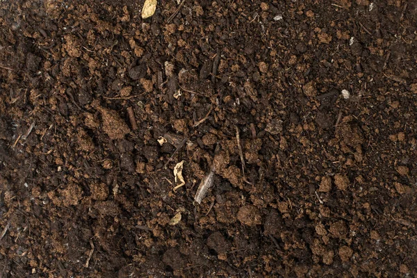 泥炭地の質感の背景 乾燥した土のパターン 乾燥した地面の山 肥料土 乾燥した土 天然の黒い芝 汚れた土の壁紙 — ストック写真