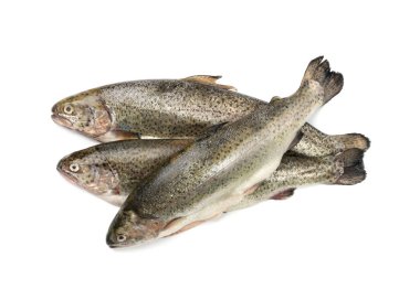 Çiğ alabalık izole edilmiş. Taze cani, üç çelik başlı balık, gökkuşağı alabalığı, trutta, fario, Oncorhynchus mykiss, beyaz arka planda tatlı su alabalıkları.