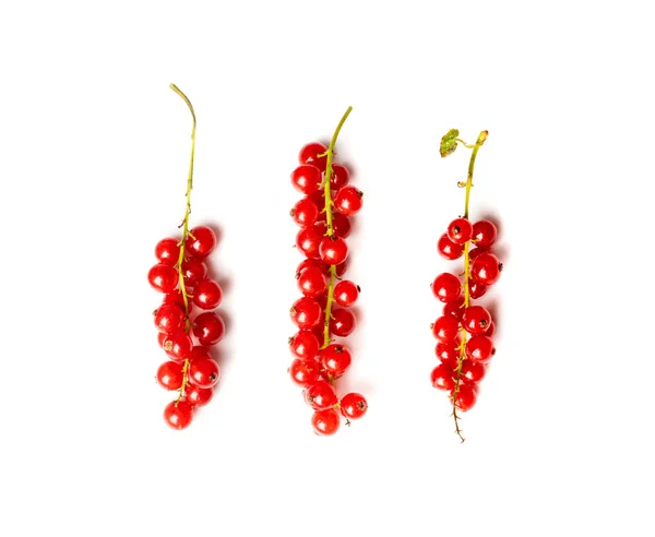 Red Currant Bunch Isolated Redcurrant Pile Ripe Red Currant Berries — Fotografia de Stock
