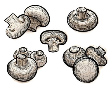 El yapımı şampiyonlar hazır. Sketchy mantarlar, skeç karalama şampiyonu koleksiyonu, vektör illüstrasyonu