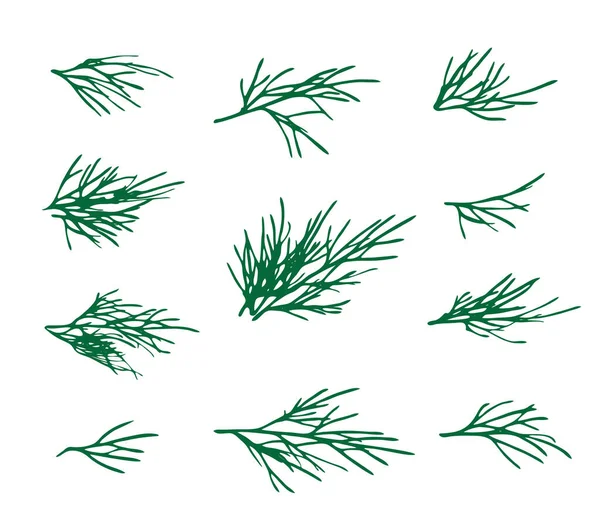 ディル スプリッグは隔離された フレッシュなフェンネルの小枝 ハーブの植物のアイコン 香りの良いディルの小枝のベクトルイラストのマクロ写真 — ストックベクタ