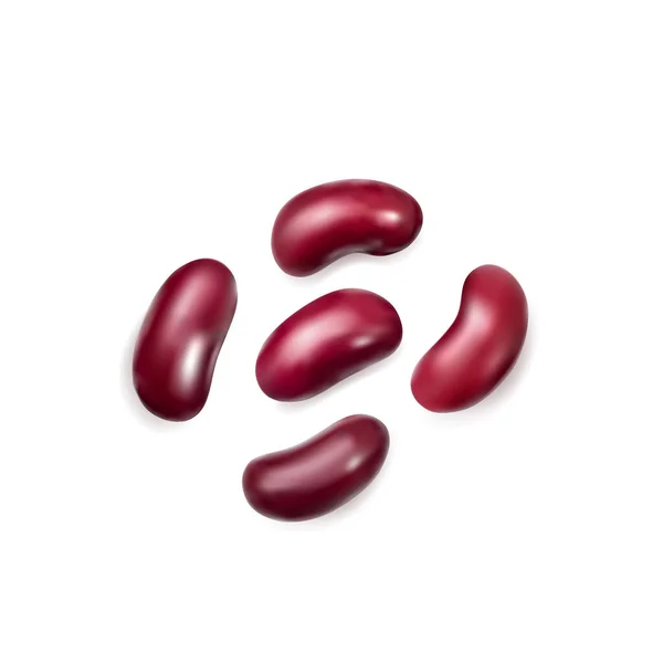 Red Kidney Beans Isolated Cooked Bean Pile Baked Legume Canned — Wektor stockowy