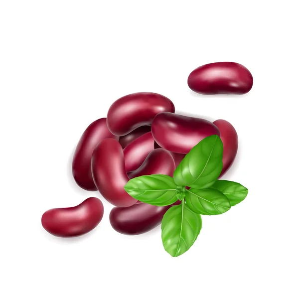 Red Kidney Beans Isolated Cooked Bean Pile Baked Legume Canned — Stockvector