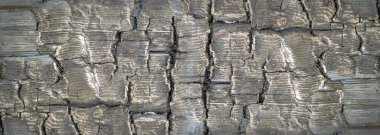 Yanık ahşap veya çatlaklar ile kömür doku. Kavrulmuş ağaç arka plan