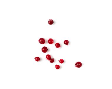 Frozen cowberry isolated. Iced lingonberry pile, frosty red berries, frozen whortleberry heap, mountain cranberry, partridgeberry, frosted bearberries on white background top view