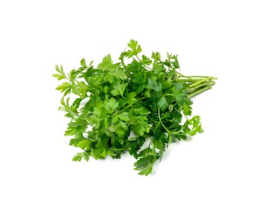 Taze maydanozlar izole edilmiş. Cilantro yaprakları, çiğ bahçe maydanoz dalları, kiraz filizi, koridor yaprakları, beyaz arka planda bir demet yeşillik.