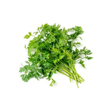 Taze maydanozlar izole edilmiş. Cilantro yaprakları, çiğ bahçe maydanoz dalları, kiraz filizi, koridor yaprakları, beyaz arka planda bir demet yeşillik.