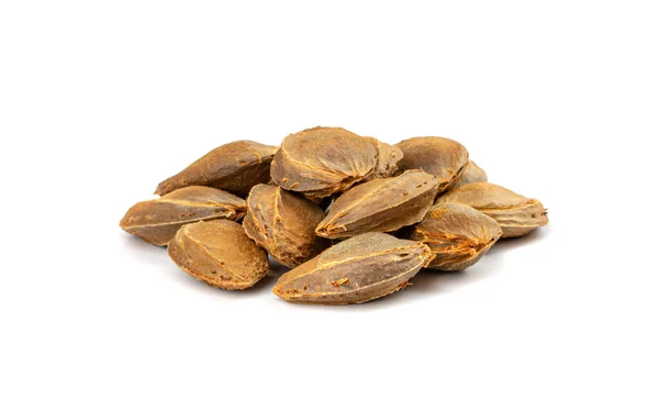 Apricot Kernels Isolated Apricot Pits Group Fruit Seeds Collection Apricot — Stock Photo, Image