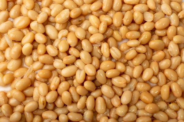 White Kidney Beans Isolated Cooked Cannellini Bean Pile Baked Legume — Stock Fotó