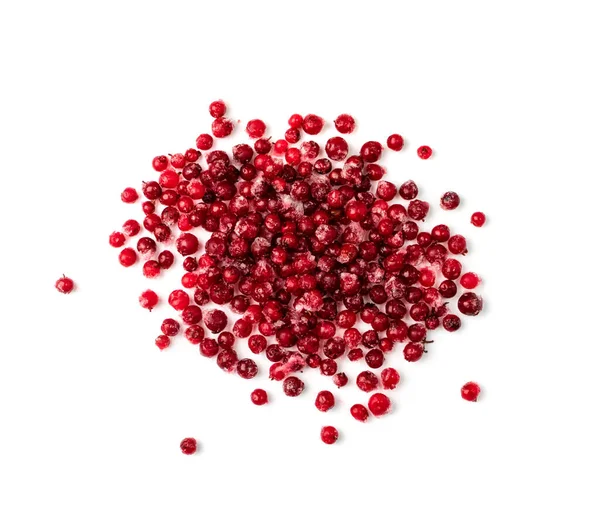 Frozen Cowberry Isolated Iced Lingonberry Pile Frosty Red Berries Frozen — Stock Photo, Image