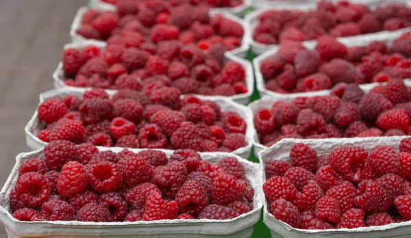 Ripe raspberries in a paper container, blurred background Red fresh rasp berries in packaging closeup, berries in open paper box, selective focus
