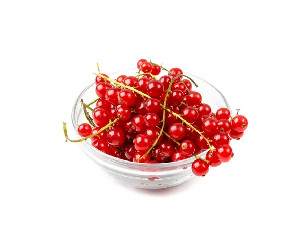 Red Currant Pile Isolated Redcurrant Glass Bowl Red Currant Berries — Stock Photo, Image