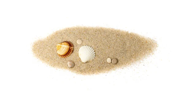 Оболонки Піщаній Купі Ізольовані Морська Мушля Піщаному Пляжі Молюски Океанської — стокове фото