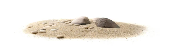 Shells Sand Pile Isolated Seashell Sandy Beach Ocean Dune Clams — Foto de Stock