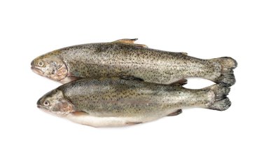 Çiğ alabalık izole edilmiş. Taze cani, çelik kafalı balık, gökkuşağı alabalığı, trutta, fario, Oncorhynchus öpücük, beyaz arka planda tatlı su alabalıkları.