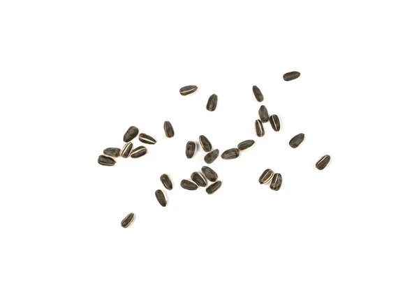 ひまわりの種が孤立 生散ひまわりの種子群 殻付きの太陽の花の穀物 新鮮な食用縞模様油の種子白い背景のヒープ上のビュー — ストック写真