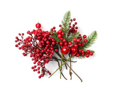 Kırmızı böğürtlenli Noel dalı. Beyaz arka planda yapay ev dekorasyon tesisi, rowan, ashberry veya kalina dal izole