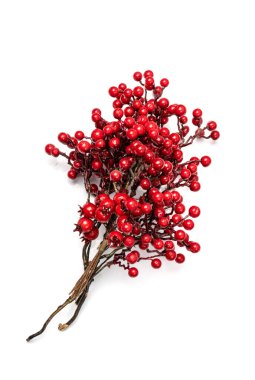 Kırmızı böğürtlenli Noel dalı. Beyaz arka planda yapay ev dekorasyon tesisi, rowan, ashberry veya kalina dal izole