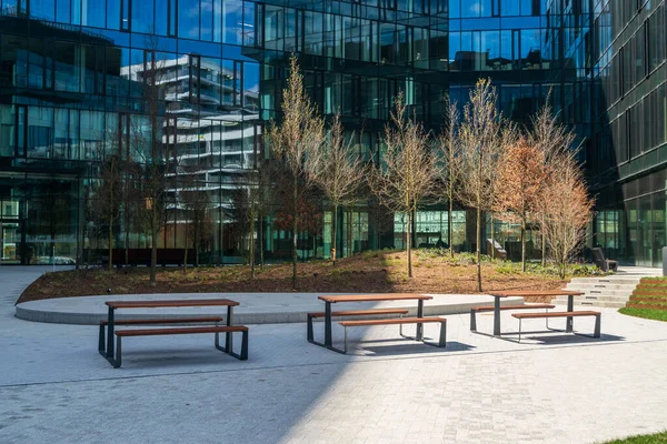 New modern bench in park. Outdoor city architecture, wooden benches, outdoor chair, urban public furniture, empty plank seat, comfortable bench in recreation area