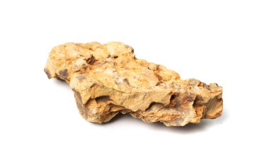 Ohko taşı izole edilmiş. Ejderha taşı, akvaryum tasarımı için gözenekli kil taşı, beyaz arka planda su kaydırak.