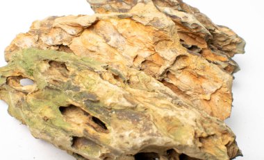 Ohko taş doku arka planı. Ejder taşı, akvaryum tasarımı için gözenekli kil taşı, su kaplayan ejderha taşı yakın çekim