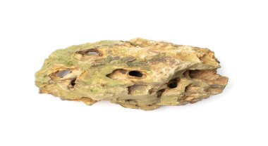 Ohko taşı izole edilmiş. Ejderha taşı, akvaryum tasarımı için gözenekli kil taşı, beyaz arka planda su kaydırak.