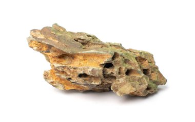 Ohko taşı izole edilmiş. Ejderha taşı, akvaryum tasarımı için gözenekli kil taşı, beyaz arka planda su kaydırak.