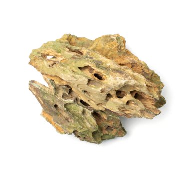 Ohko taşı izole edilmiş. Ejderha taşı, akvaryum tasarımı için gözenekli kil taşı, beyaz arka planda su kaydırak.