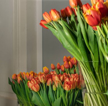 Lale buketi yakın plan. Kırmızı sarı laleler, bahar laleleri seçici odaklı lale yaprakları ve tomurcukları.