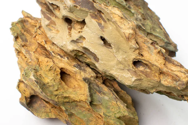 Ohko taş doku arka planı. Ejder taşı, akvaryum tasarımı için gözenekli kil taşı, su kaplayan ejderha taşı yakın çekim