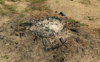 The extinct fire pit outdoor. Fire place for bbq with bonfire ashes, empty campsite, barbecue pit on ground
