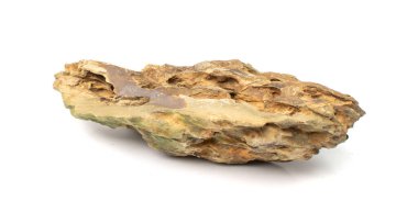 Ohko taşı izole edilmiş. Ejderha taşı, akvaryum tasarımı için gözenekli kil taşı, beyaz arka planda su kaydırak.