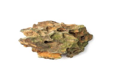 Ohko stone isolated. Dragon stone, porous clay stone for aquarium design, aquascaping dragonstone on white background top view