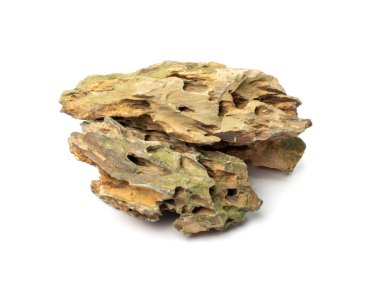 Ohko taşı izole edilmiş. Ejderha taşı, akvaryum tasarımı için gözenekli kil taşı, beyaz arka planda su kaydırak.