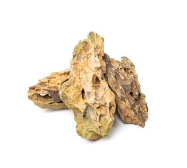 Ohko taşı izole edilmiş. Ejderha taşı, akvaryum tasarımı için gözenekli kil taşı, beyaz arka planda su kaydırak.