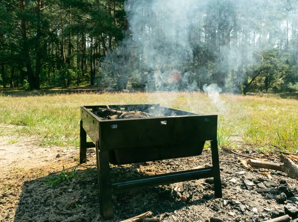 Small Grill Portable Barbecue Bbq Flame Smoke Mini Barbecue Outdoor — Stockfoto