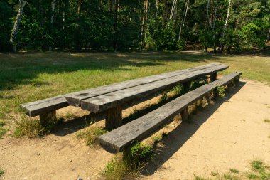 Old wooden tables and benches for a bbq picnic. Big forest corporate party place