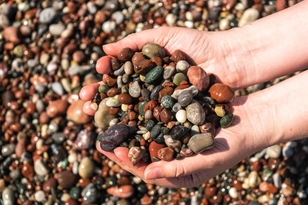 Colored pebble beach in hands. Multicolored rocky shore pattern, summer mockup with copy space, stone handful, vacation concept
