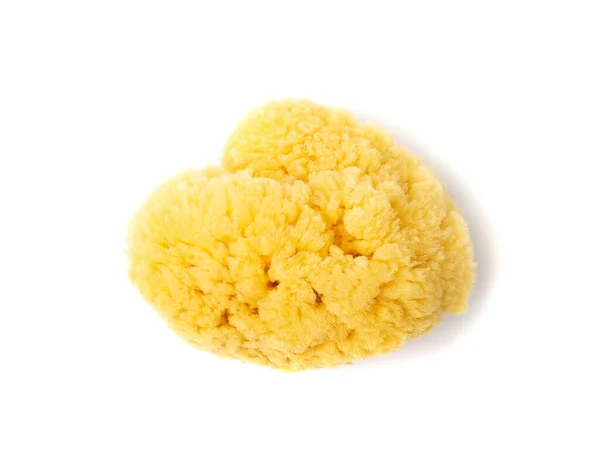 Natural Sponge Isolated Yellow Sponges Closeup Eco Body Care Concept — 스톡 사진