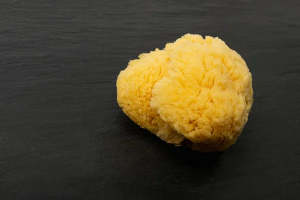 Natural Sea Sponge Black Background Yellow Sponges Eco Body Care — ストック写真