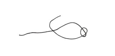 Siyah ip parçası izole edildi. Koyu ayakkabı bağı parçası, ambalaj dantelinin bir parçası, beyaz arkaplanda siyah kordon düğümleri.