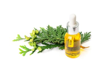 Cypress oil isolated. Cupressus essence, cedrus infusion, thuja essential oil, thuya extraction, juniper tincture, arborvitae serum on white background