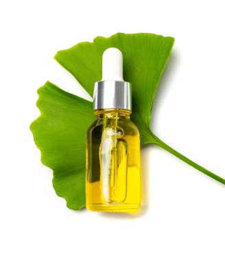 Ginkgo biloba oil isolated. Gingko essence, ginko tree twig extract, living fossil, fresh ginkgo leaves tincture on white background